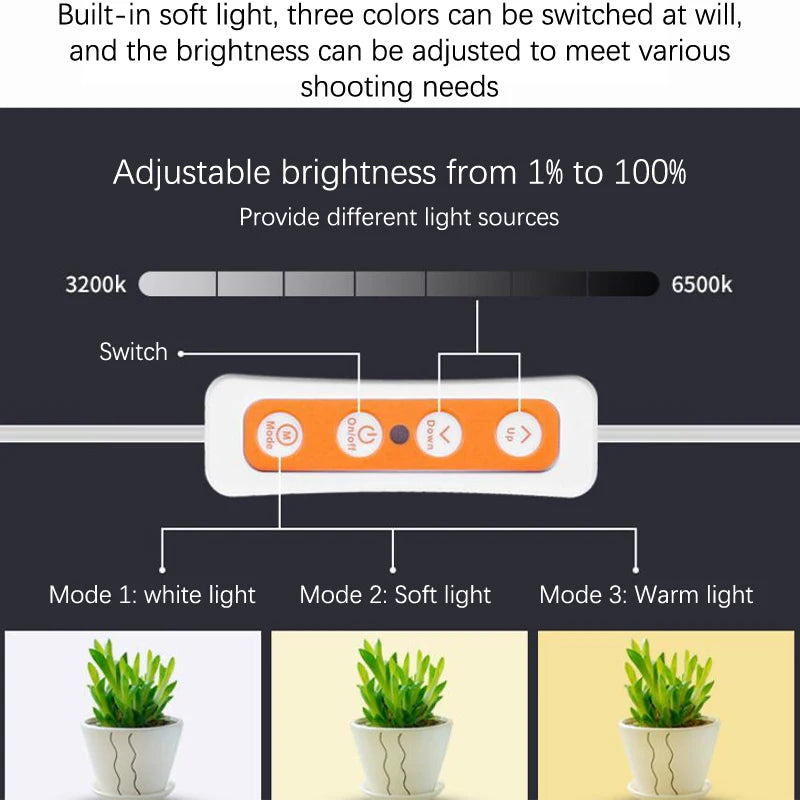 Chambre à lumière LED pour studio photo, tente lumineuse, boîte souple, arrière-plans, boîte à photos pour appareil photo reflex numérique, boîte à lumière pliante portable, 22cm