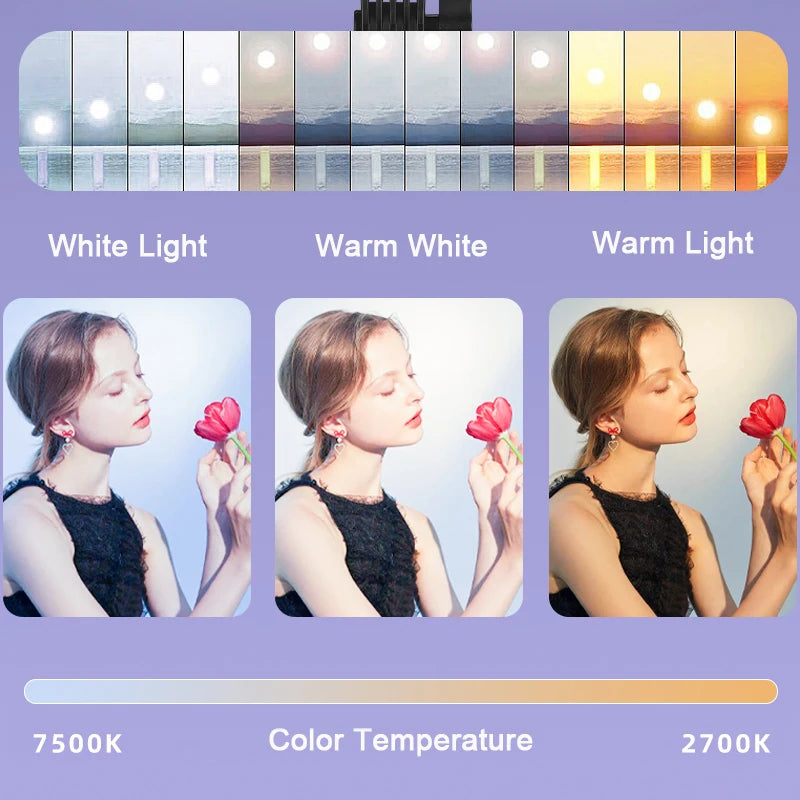 Lumière de Studio Photo LED pour Éclairage de Maquillage, Appareil Photo Portable, Lampe de Panneau de Photographie Statique, Vidéo, 2700K-7500K